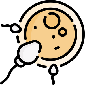 QARE SLEEP